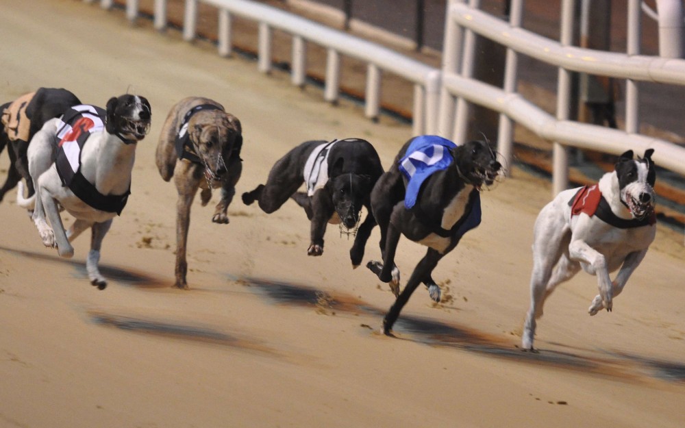 The Imperial Hotel Bowral